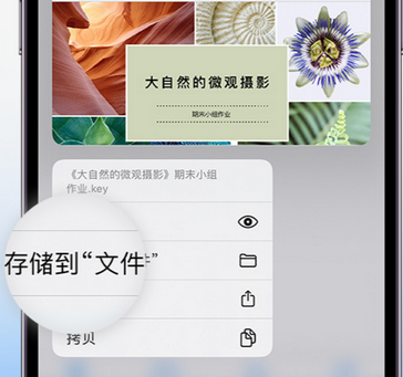 太原apple维修中心分享iPhone文件应用中存储和找到下载文件