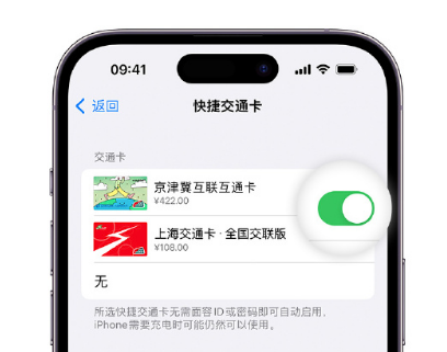 太原apple维修点分享iPhone上更换Apple Pay快捷交通卡手绘卡面 