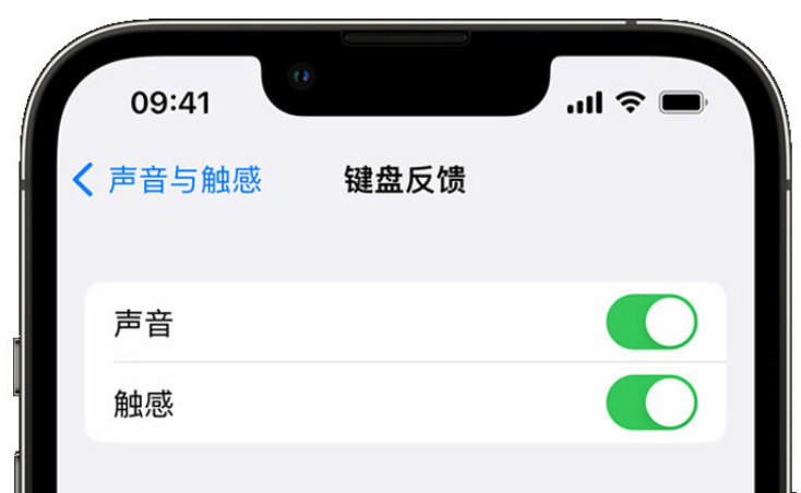 太原苹果手机维修分享iPhone 14触感键盘使用方法 