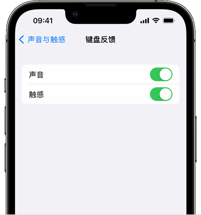 太原苹果14维修店分享如何在 iPhone 14 机型中使用触感键盘 