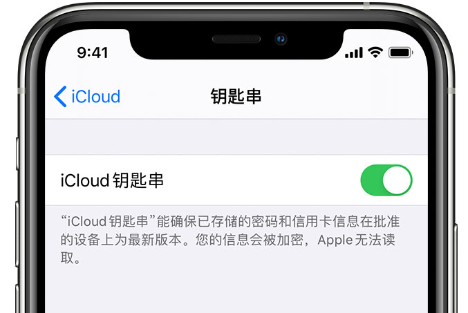 太原苹果手机维修分享在 iPhone 上开启 iCloud 钥匙串之后会储存哪些信息 