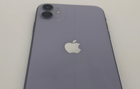 太原苹果11系统维修分享iPhone11手机系统崩溃无法开机如何解决